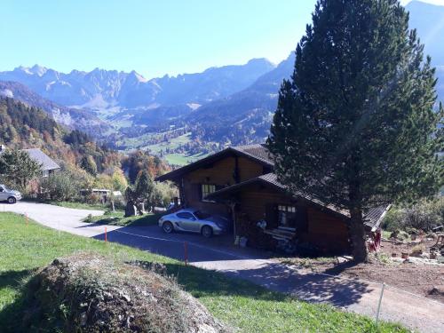 a house with a car parked in front of it at Alp Chnorz Penthouse in Nesslau
