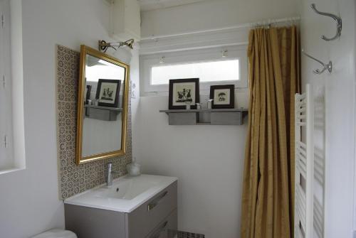 ein Bad mit einem Waschbecken und einem Spiegel in der Unterkunft Gîte De La Tulipe in Guéméné-Penfao
