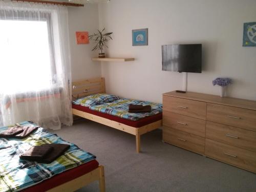 1 Schlafzimmer mit 2 Betten, einem TV und einer Kommode in der Unterkunft Apartmán Žďár in Saar