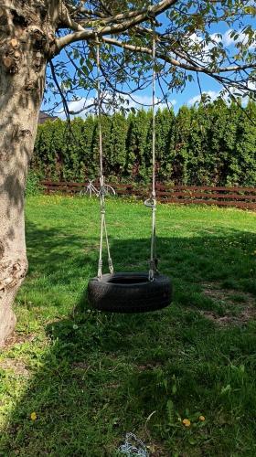 a tire swing hanging from a tree in a yard at Cichy kemping in Plewiska