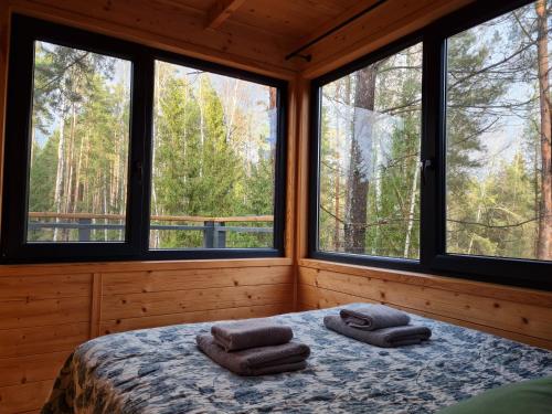 a bedroom with windows and a bed with two towels at Zdalnie z Lasu - Siedlisko w Puszczy Białowieskiej in Narewka