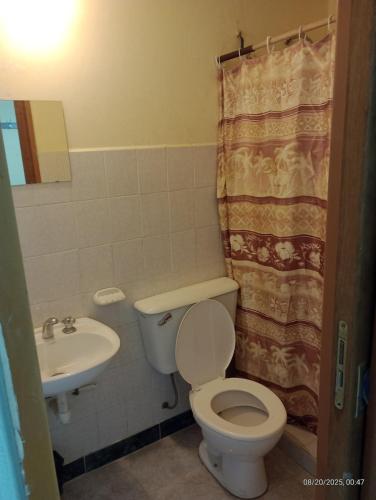 a bathroom with a toilet and a sink at Hospedaje DON MANUEL in Paso de Indios