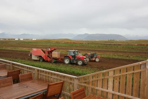 a couple of tractors and a tractor on a field at Árnanes Country Hotel in Höfn