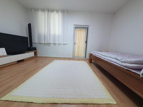 a room with a bed and a television and a rug at 상록수 sangroksu in Boeun