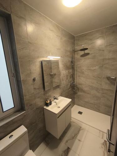a bathroom with a sink and a shower and a toilet at Il-Pitirross Apartment Gozo in Sannat
