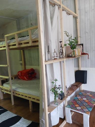 a couple of bunk beds in a room at Dormitory Hatago in Vashisht