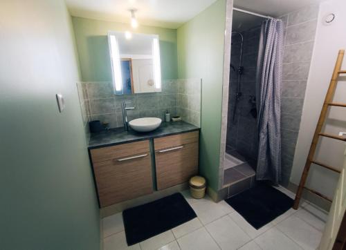 a bathroom with a sink and a shower at Maison a la campagne in Biras