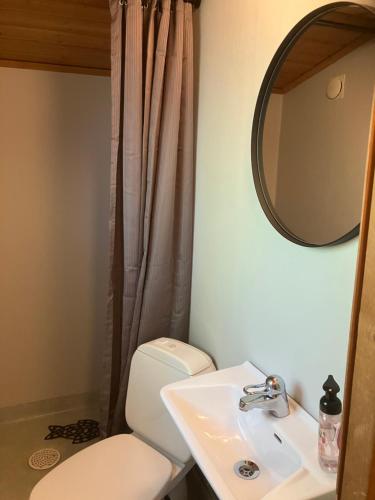 a bathroom with a toilet and a sink and a mirror at Aggarps Stugor in Kulltorp