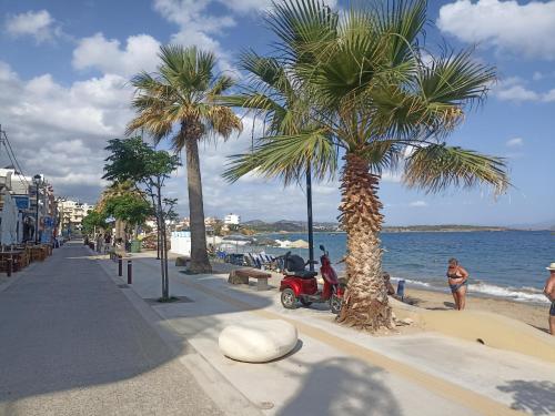 Άνετο και φιλόξενο διαμέρισμα