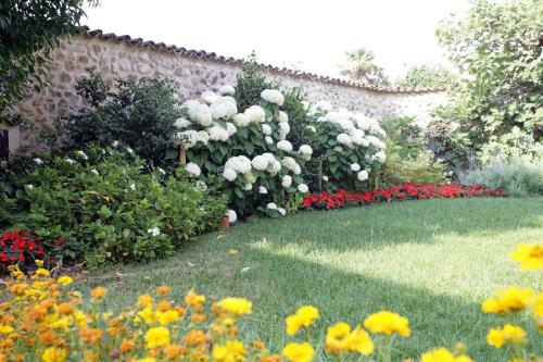 Κήπος έξω από το Agriturismo Macesina