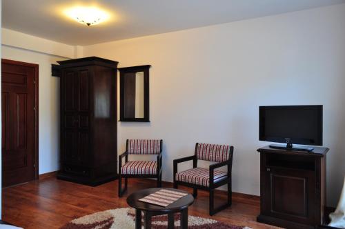 a living room with two chairs and a flat screen tv at Pension Perla Bucovinei in Voronet