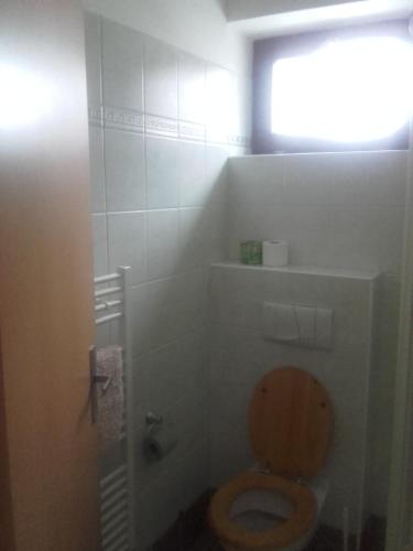 a bathroom with a toilet with a wooden seat at Hotel Anna in Harrachov