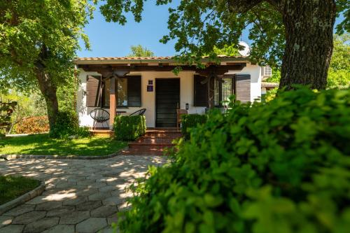 Holiday Home Sergo