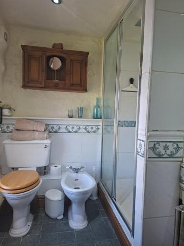 a bathroom with a toilet and a shower at Eastview Bed and Breakfast in Garrigill