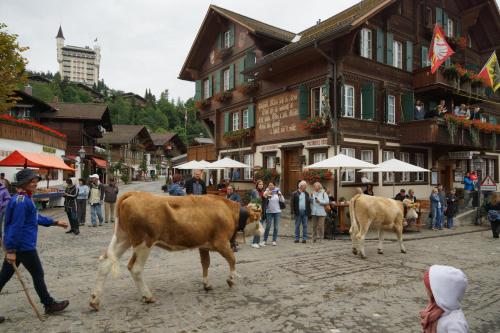 Un gruppo di mucche che camminano per strada in una città di Posthotel Rössli a Gstaad