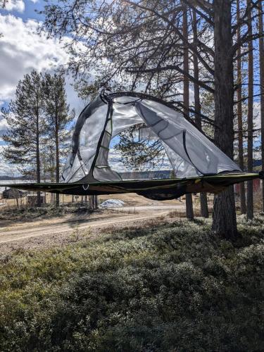a tent attached to a tree in a field at The special experience - Treetent in Arjeplog