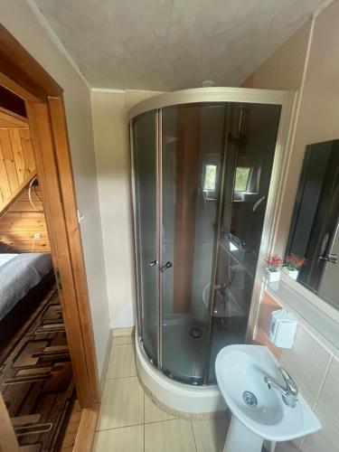 a bathroom with a shower and a sink at Domek Pod Skansenem in Białowieża