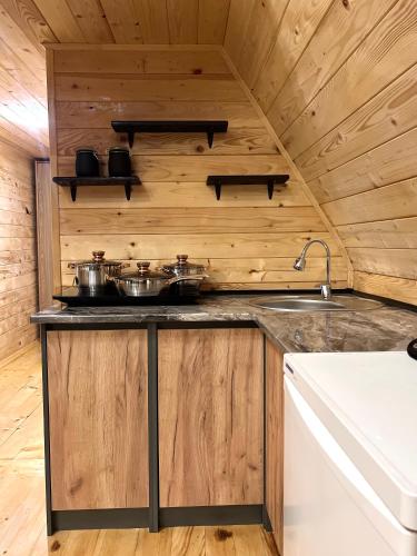 a kitchen with a counter with pots and pans at Сади Вітрів in Oriv
