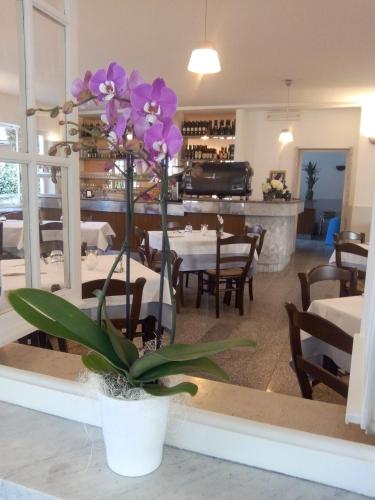 a purple orchid sitting on a table in a restaurant at Hotel Garden Bocca di Magra in Bocca di Magra
