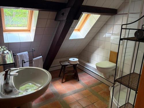 a bathroom with a sink and a toilet at Relais Équestre du Neufeld - Suite ÉTÉ in Oberhaslach