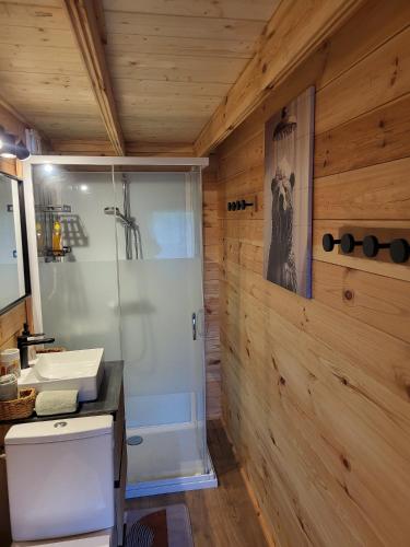 a bathroom with a shower and a sink at Le chalet caché, au pied des Chambarans in Saint-Siméon-de-Bressieux