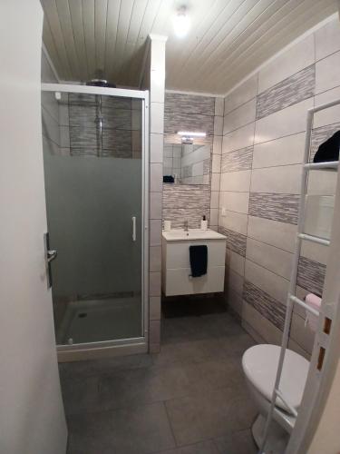 a bathroom with a shower and a toilet and a sink at Chambres d'hôtes in Annoisin-Chatelans