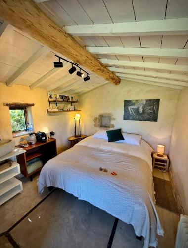 a bedroom with a large white bed in a room at Cabanon bucolique face au Luberon in Lourmarin