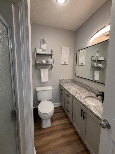 a bathroom with a toilet and a sink and a mirror at Spacious Gatlinburg Condo With Million Dollar Mountain Views in Gatlinburg