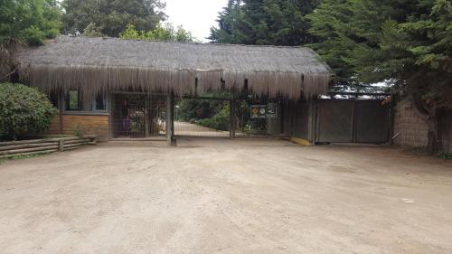a building with a straw roof and a dirt yard at Apartment Cau Cau in Horcón