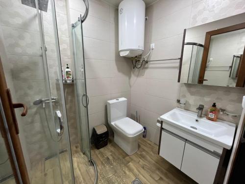 a bathroom with a shower and a toilet and a sink at Euro Palace Gonio in Gonio