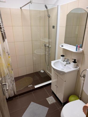 a bathroom with a shower and a sink at Casa Alexander in Sulina