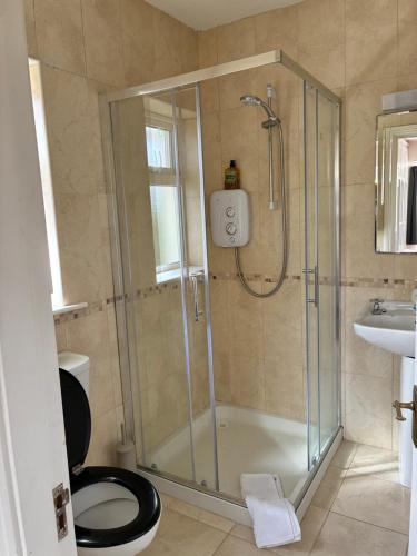 a bathroom with a shower with a toilet and a sink at 19 Westlands in Westport