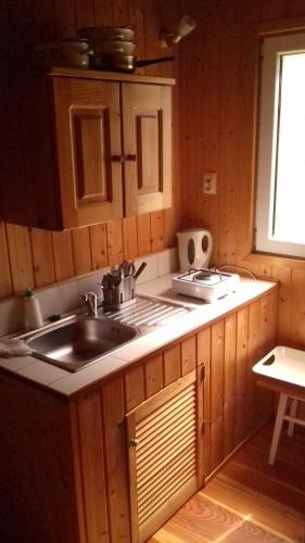 a kitchen with a sink and a counter top at Noclegi Renata in Solina