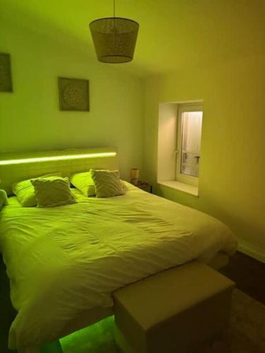 a green bedroom with a bed and a window at L'escapade du temps in Les Épesses