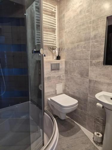 a bathroom with a toilet and a shower and a sink at Melnragė in Melnragė
