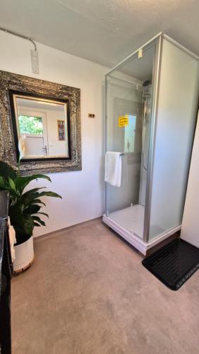 a bathroom with a shower with a laptop in it at Irenes Anneks in Nyborg