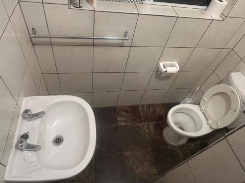 a bathroom with a sink and a toilet at 13 bedford street in Grahamstown