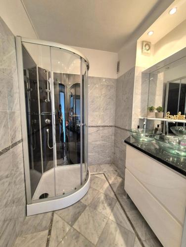 a bathroom with a shower and a sink at Appartement d'exception spacieux, 2 chambres, terrasse privée, vue Cathédrale imprenable in Strasbourg
