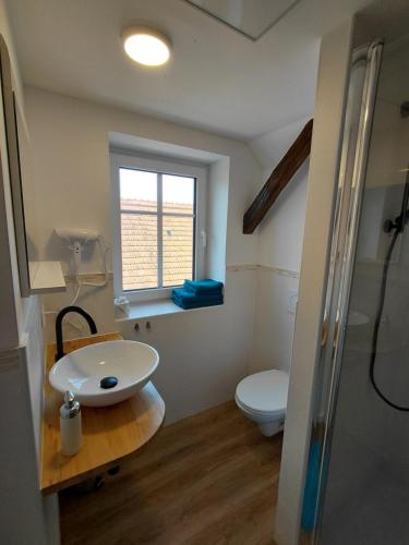 a bathroom with a sink and a toilet and a window at s' Kännele Ferienwohnungen in Mudau