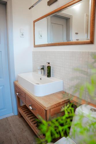 a bathroom with a white sink and a mirror at Guest house ''8 smilgos'' in Klaipėda