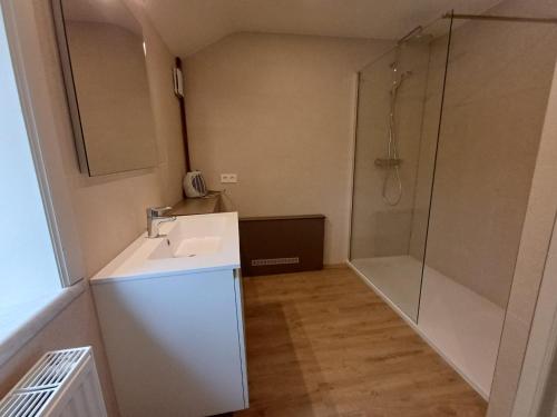 a bathroom with a sink and a shower at Gîte Horlitin in Amougies