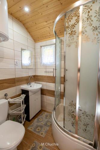 a bathroom with a shower and a toilet and a sink at Domki pod Żukowcem in Solina