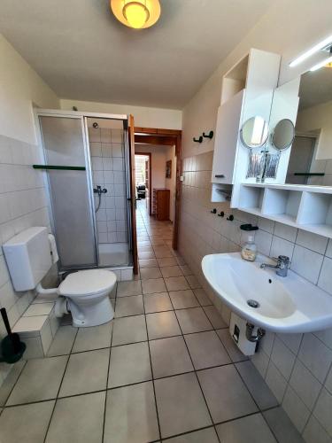 a bathroom with a toilet and a sink at Ferienwohnungen Matschak OG rechts in Fehmarn