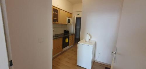 Budget 1BR Apt, 3 Min Enkplatz, 9 Min City Center