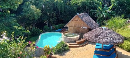 an overhead view of a small swimming pool with a hut at Ecolodge Nosy Faly in Nosy Be