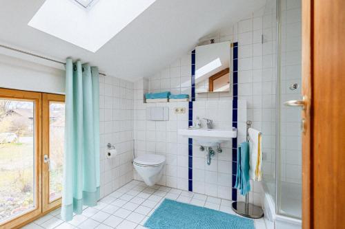 a bathroom with a toilet and a sink at Ferienwohnung Chiemgau in Eggstätt