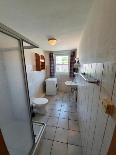 a bathroom with a toilet and a sink and a shower at Ferienwohnung Matschak OG links in Fehmarn