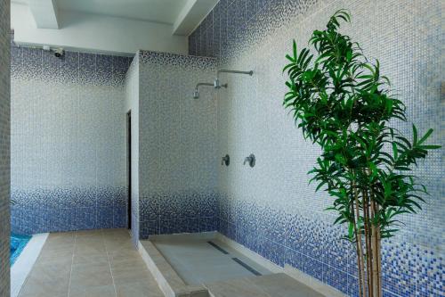 a bathroom with a shower with a plant in it at Hotel Doina 2 Tasnad in Tăşnad