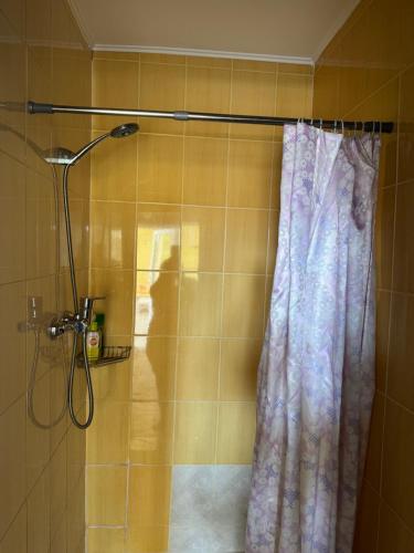 a shower in a bathroom with a shower curtain at Dacha Marella in Nova Dofinivka