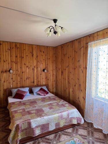 a bedroom with a bed and a window at Dacha Marella in Nova Dofinivka